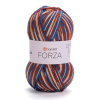 Forza, 2515 Forza, 2515