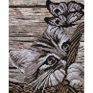 Котенок и бабочка